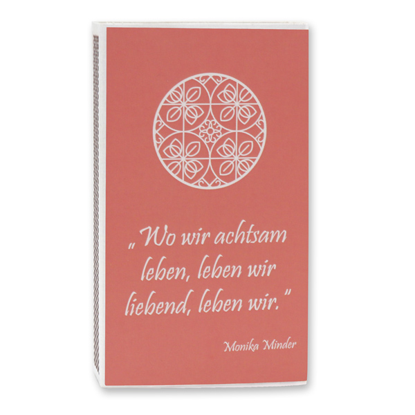 Zündhölzer groß, "Motiv Reinigung" 