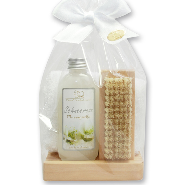 Care set, Christmas rose white 
