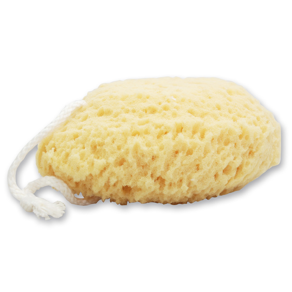 bathing sponge 