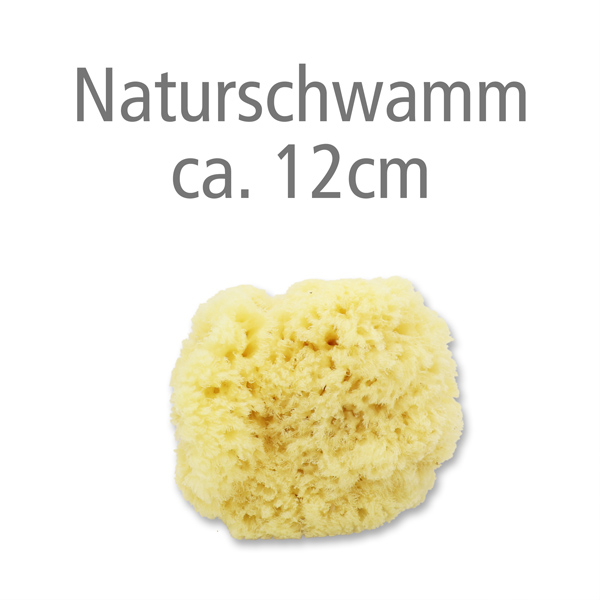 Natural sea sponge 12cm 