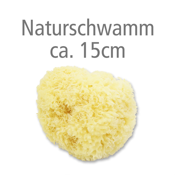 Naturschwamm ca. 15cm ohne Verpackung 