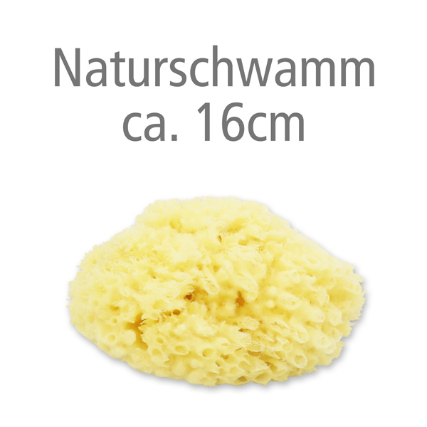 Naturschwamm ca. 16cm ohne Verpackung 