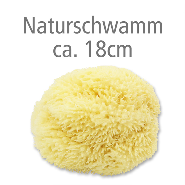 Natural sea  sponge 18cm 