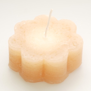 Candle flower, Quince 
