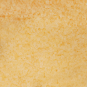 morepic-5