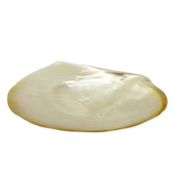 Shell soap dish Ø 15-18cm 