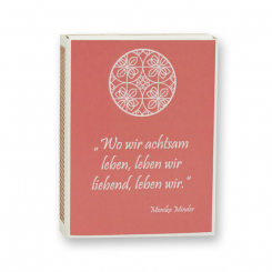 Zündhölzer klein, "Motiv Reinigung" 