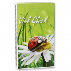 Zündhölzer groß, "Viel Glück" 
