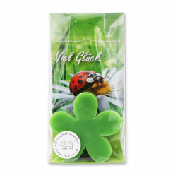 Schafmilchseife Margerite 78g in Cello "Viel Glück", Apfel 