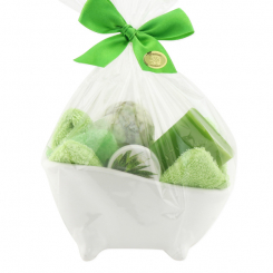Wellness set 6 pieces in a cellophane bag, Aloe vera 