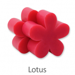 Schafmilchseife Margerite mittel 78g, Lotus 