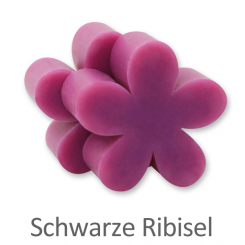 Schafmilchseife Margerite mittel 78g, Schwarze Ribisel 