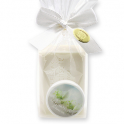 Care set 2 pieces in a cellophane bag, Christmas rose 