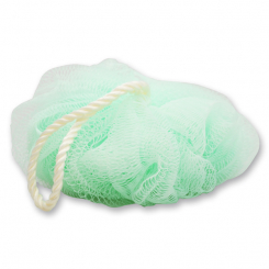 shower sponge 