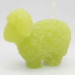 candle verbena Lina the sheep 