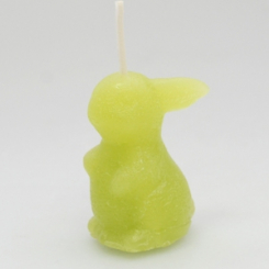 candle verbena rabbit 