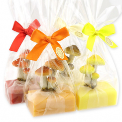 Schafmilchseife eckig 100g dekoriert mit Pilzen in Cello, sortiert 