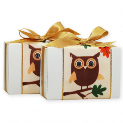 Schafmilchseife eckig 150g verpackt in Schachtel dekoriert mit Dekoband Eule, Classic/Quitte 